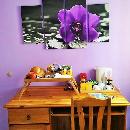Homestay Host Family In Pembroke